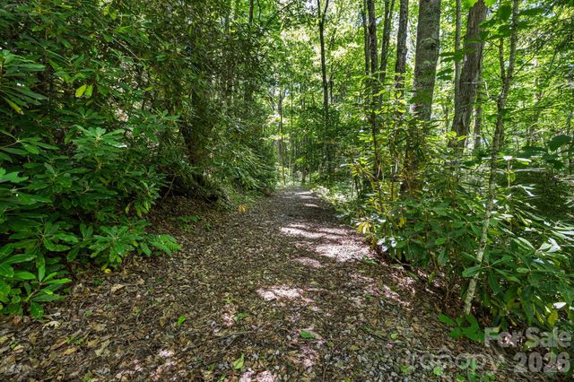 299 Basswood Road, Hot Springs, NC 28743