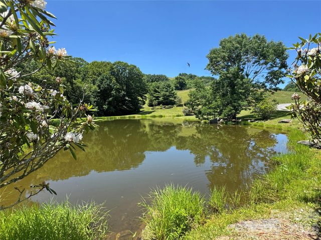 299 Basswood Road, Hot Springs, NC 28743