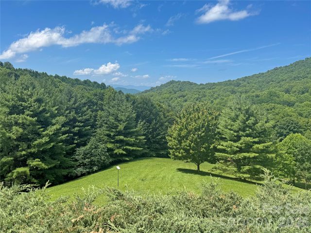 299 Basswood Road, Hot Springs, NC 28743