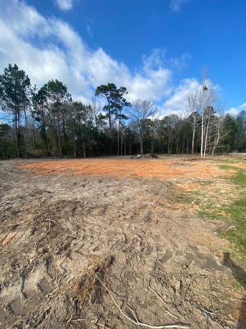 0 Railroad Avenue, Shepherd, TX 77371