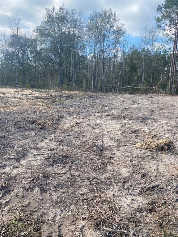 0 Railroad Avenue, Shepherd, TX 77371