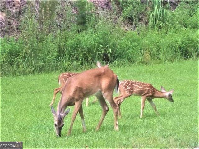 118 Osage Court, Waleska, GA 30183