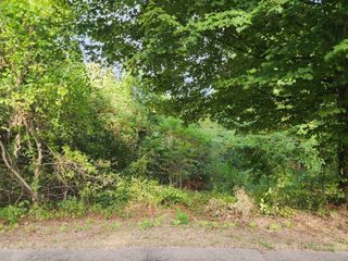 39 Pine Meadow Drive, Bristol, CT 06010