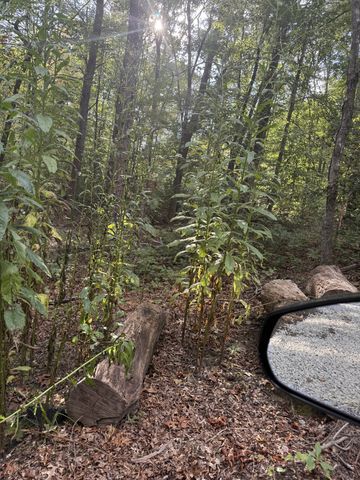 549 Dollar Dr, Altamont, TN 37301