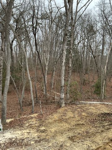 549 Dollar Dr, Altamont, TN 37301