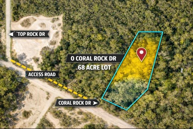 0 CORAL ROCK DRIVE, Webster, FL 33597