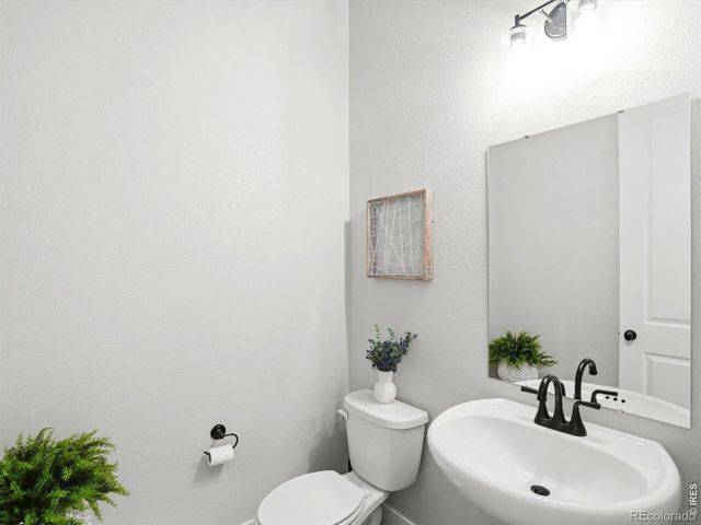6241 Vernazza Way 3, Windsor, CO 80550