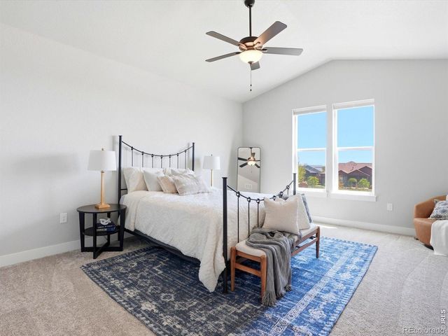 6241 Vernazza Way 3, Windsor, CO 80550