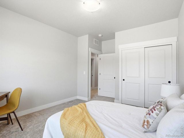 6241 Vernazza Way 3, Windsor, CO 80550