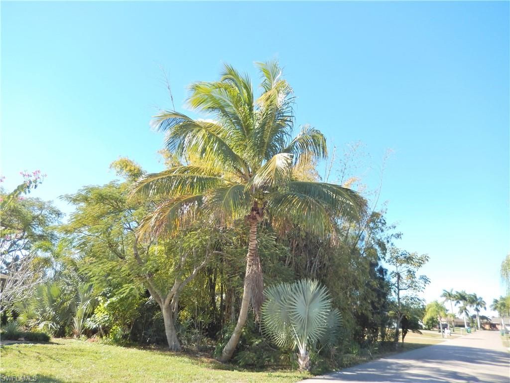 222 SE 46th TER, CAPE CORAL, FL 33904 — photo 2