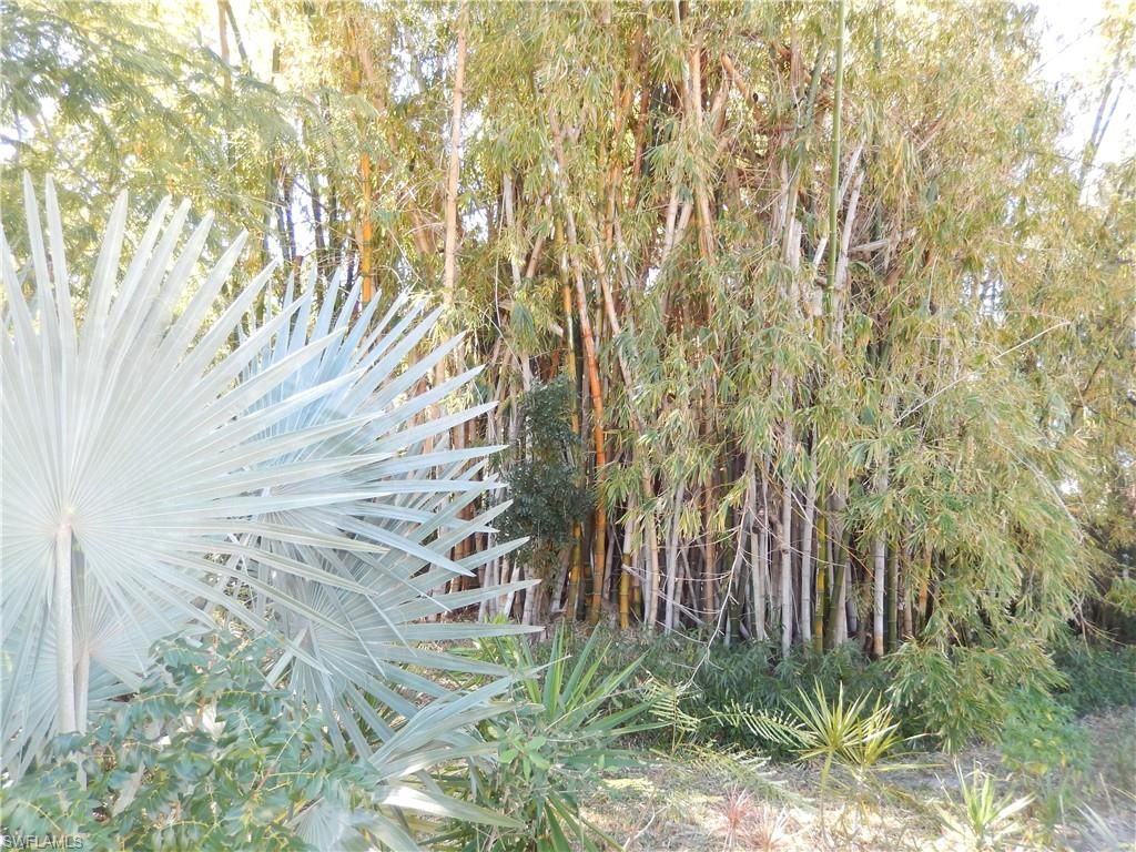 222 SE 46th TER, CAPE CORAL, FL 33904 — photo 5