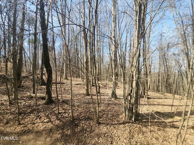 2201 Nantucket Road, Johnson City, TN 37604