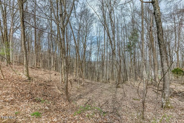 2201 Nantucket Road, Johnson City, TN 37604