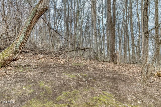 2201 Nantucket Road, Johnson City, TN 37604