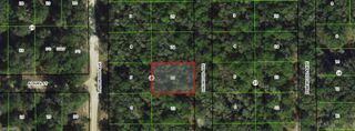 709 Dalwood AVE, Inverness, FL 34453
