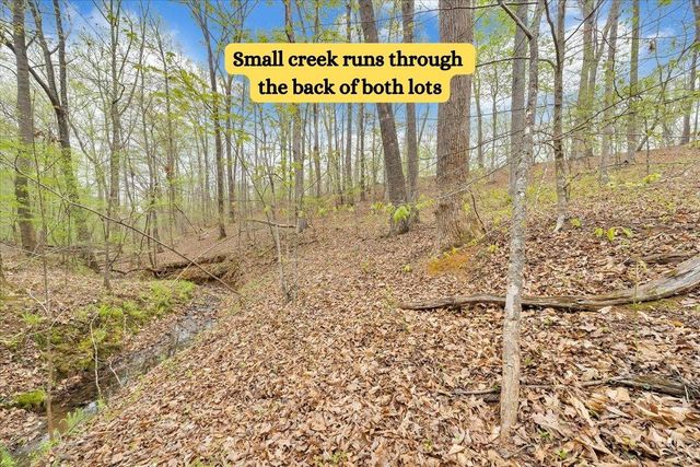 Lot 9 Red Barn LN, Wirtz, VA 24184