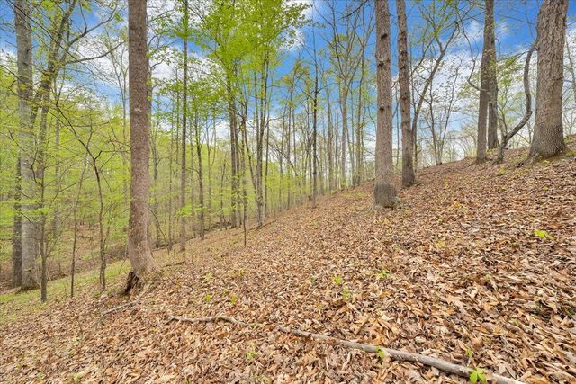 Lot 9 Red Barn LN, Wirtz, VA 24184