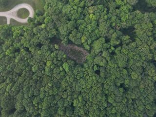 00000 S Bridle Trail, Empire, MI 49630