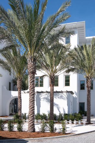 40 Mark Twain Lane Dannelly 301, Inlet Beach, FL 32461