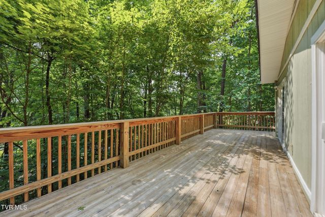 201 Tamassee Drive, Johnson City, TN 37601