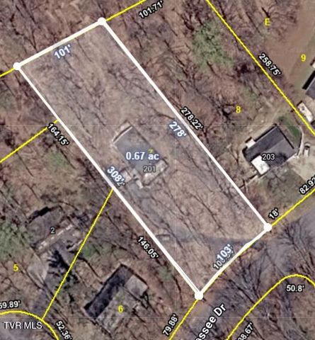 201 Tamassee Drive, Johnson City, TN 37601