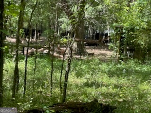 154 Sasser Road, Leesburg, GA 31763