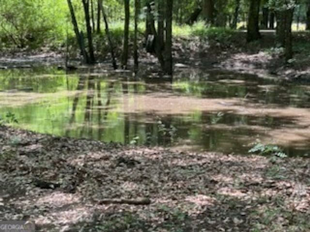 154 Sasser Road, Leesburg, GA 31763