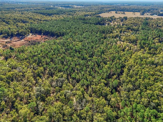 317 SW CUMBERLAND STREET, Fort White, FL 32038