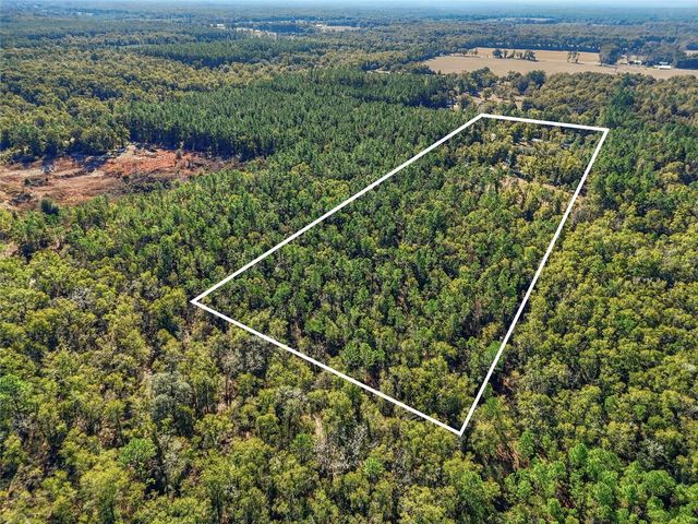 317 SW CUMBERLAND STREET, Fort White, FL 32038