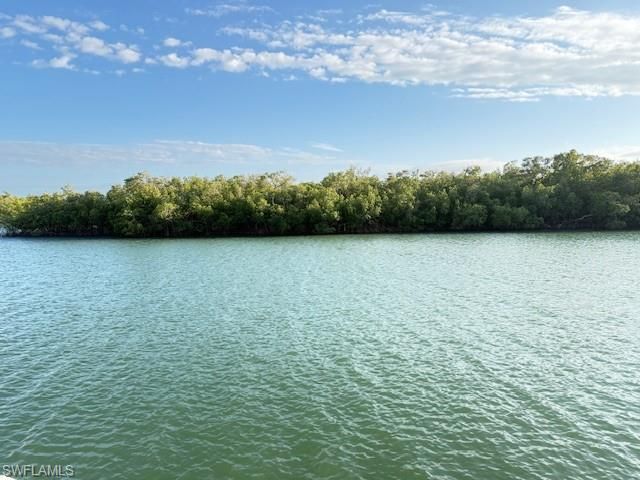 255B Wiggins Bay DR, Naples, FL 34110