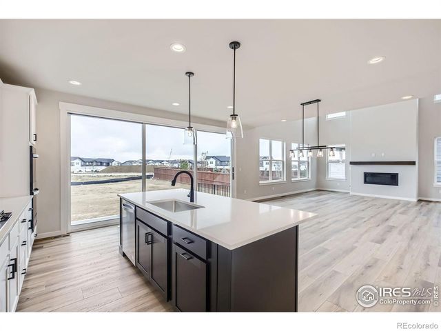2081 Falling Leaf Drive, Windsor, CO 80550