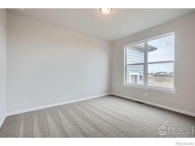 2081 Falling Leaf Drive, Windsor, CO 80550