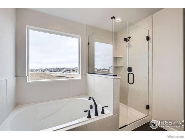 2081 Falling Leaf Drive, Windsor, CO 80550