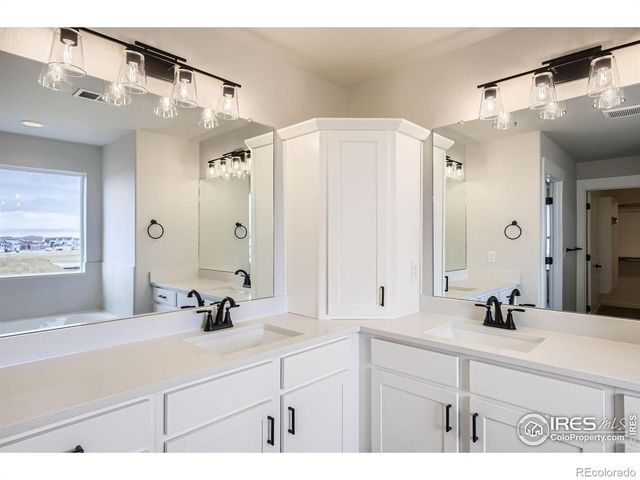 2081 Falling Leaf Drive, Windsor, CO 80550