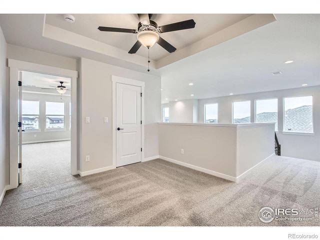 2081 Falling Leaf Drive, Windsor, CO 80550