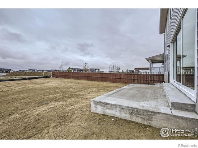 2081 Falling Leaf Drive, Windsor, CO 80550