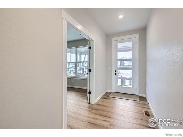 2081 Falling Leaf Drive, Windsor, CO 80550