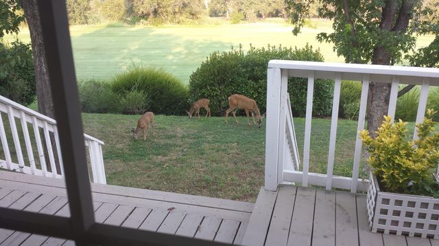 6050 Gleneagles Court, Redding, CA 96003