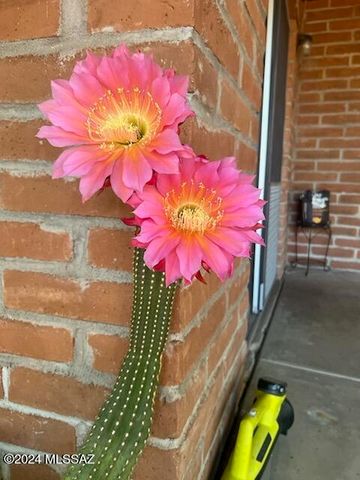 5830 E Cll Del Ciervo, Tucson, AZ 85750