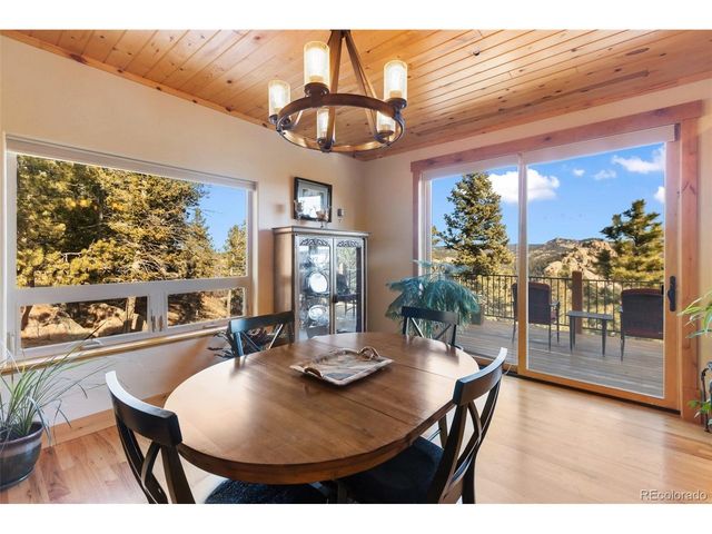 146 Conifer Cir, Florissant, CO 80816