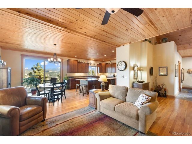 146 Conifer Cir, Florissant, CO 80816