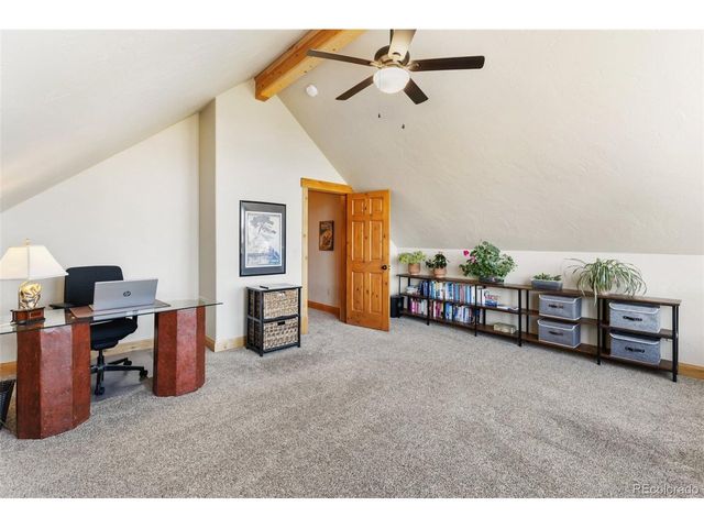 146 Conifer Cir, Florissant, CO 80816