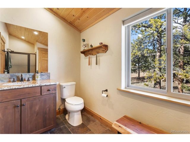 146 Conifer Cir, Florissant, CO 80816