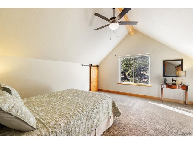 146 Conifer Cir, Florissant, CO 80816