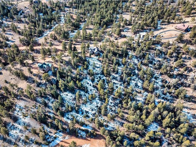 146 Conifer Cir, Florissant, CO 80816