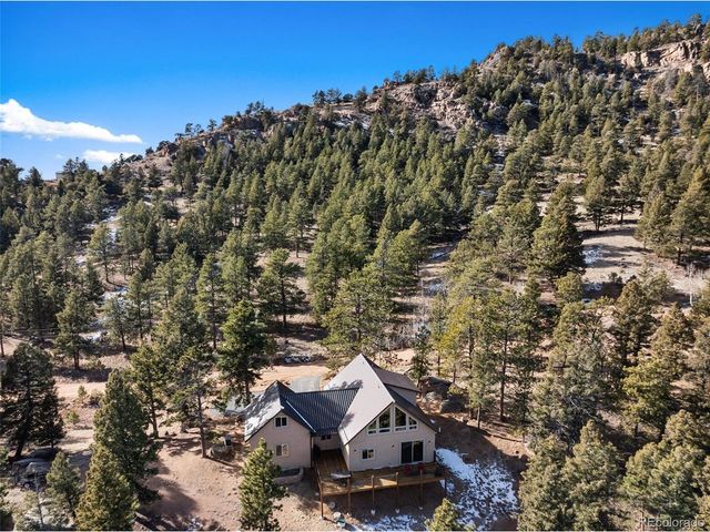 146 Conifer Cir, Florissant, CO 80816