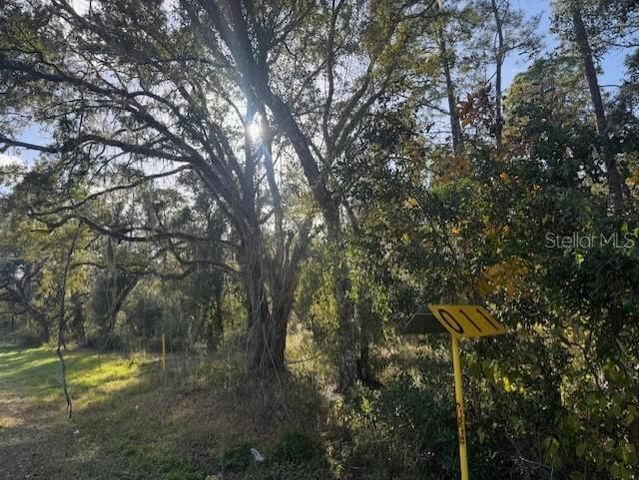 6355 TREIMAN BOULEVARD, Webster, FL 33597