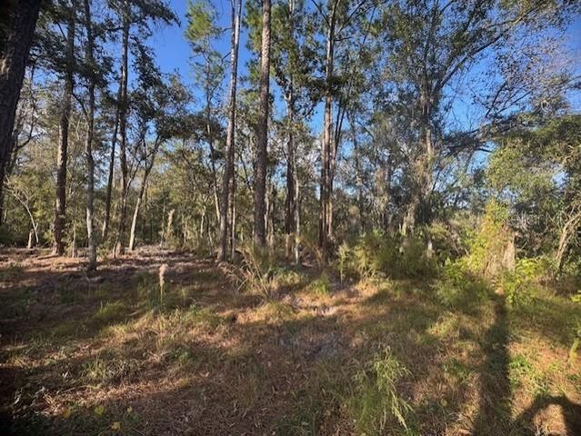 6355 TREIMAN BOULEVARD, Webster, FL 33597