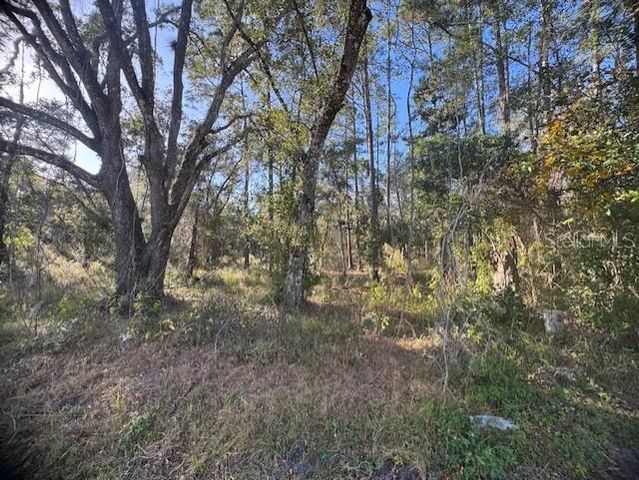 6355 TREIMAN BOULEVARD, Webster, FL 33597