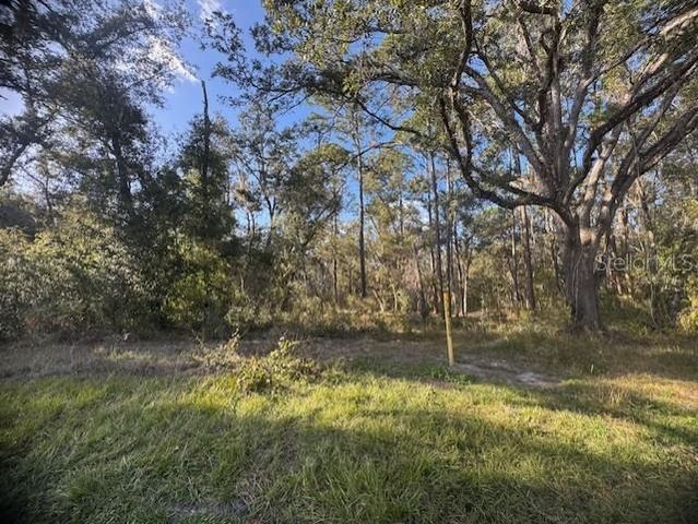 6355 TREIMAN BOULEVARD, Webster, FL 33597